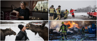 UNT:s prisvinnande fotograf – här är några av hans främsta bilder