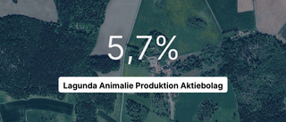 Så gick det för Lagunda Animalie Produktion AB