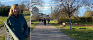 Strandpromenad kan smyckas för en miljon: "Konst är själens öga"