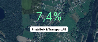 Årsredovisningen klar: Så gick det för Piteå Bulk & Transport AB