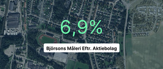 Björsons Måleri Eftr. Aktiebolag har marginal som slår snittet