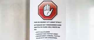 Alla hästar kontrolleras efter virusbesked