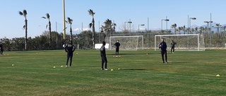 Skavanker och sjukdom stör AFC i Turkiet  