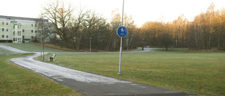 Stadsodlingen är klar - men ingen odlar