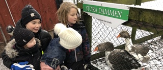 Djuren och tomten lockade massvis av besökare