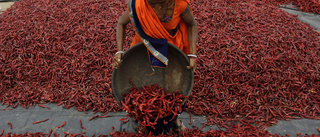 Försiktig öppning av delar av Indiens ekonomi