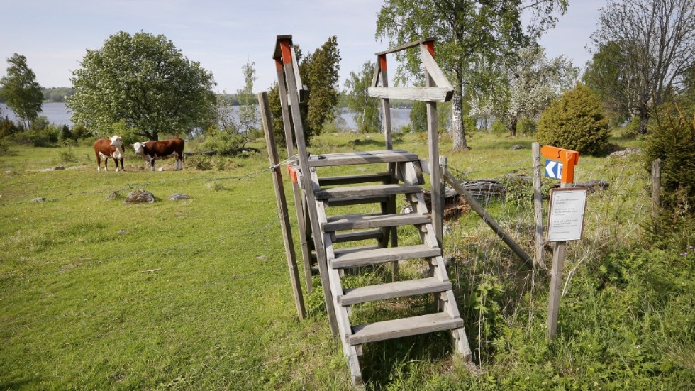 Tillgången till naturen är stor i Sörmland, skriver Clas Persson. Bilden är från en av Sörmlandsledens etapper.