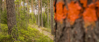 Mycket vackert att uppleva i Sörmlands natur