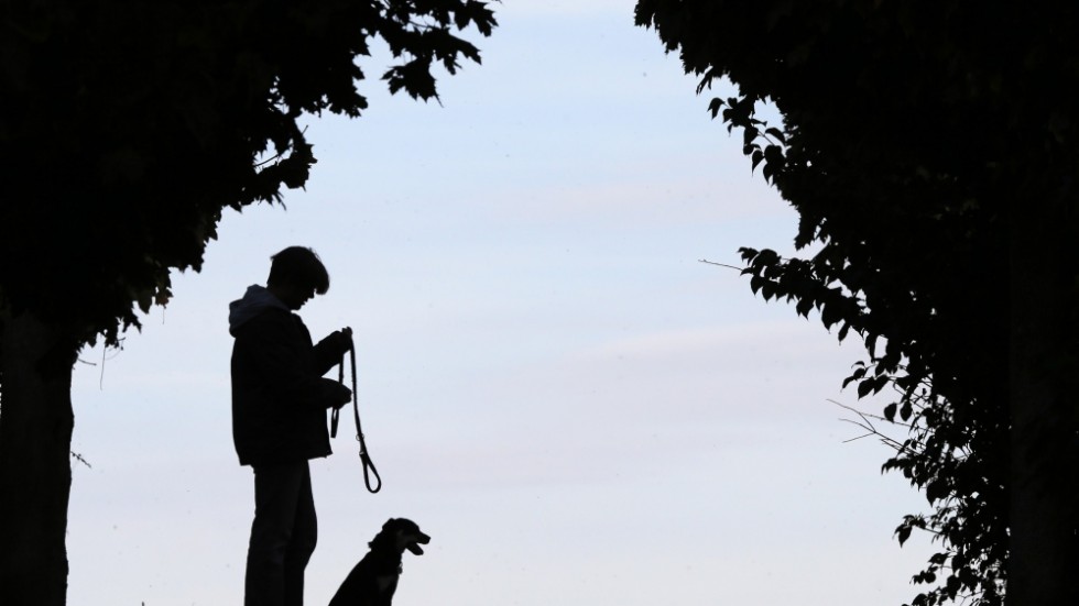 Hundägaren är misstänkt för vållande till kroppsskada och brott mot lagen om tillsyn av hundar och katter.
