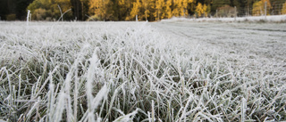 Vädret i dag: Klar och kall morgon