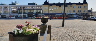 Nu ska torget göras om - så får det kosta