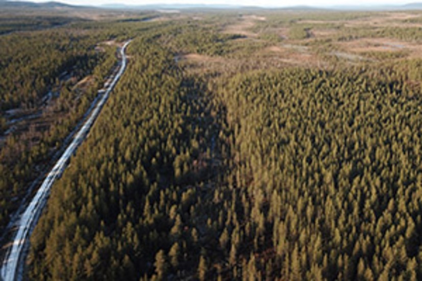 Sveaskog säljer bland annat 1 500 hektar vid Forsudden, Arjeplog.