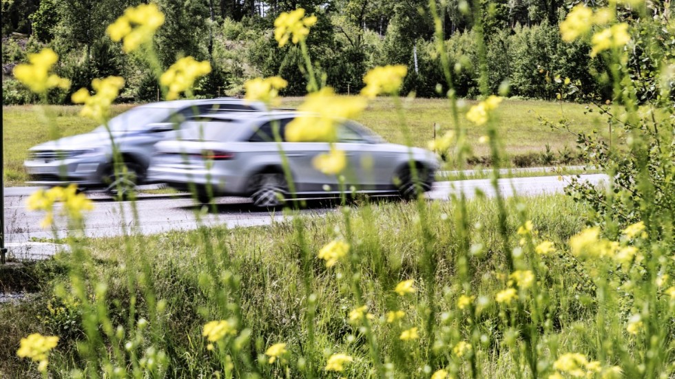 "Verkligheten är att ”Kapplöpningen” går åt andra hållet: Utsläppen av koldioxid har fortsatt att öka med 1 à 2 procent om året. Det är 10– 15 gånger alla Sveriges utsläpp på ett år", skriver insändarskribenten. (Arkivbild)