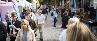 Utvecklande tankar om Almedalen