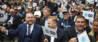 SD är verkligen inte ett parti som alla andra