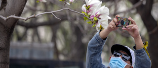 Munskyddsindustrin blomstrar i Kina