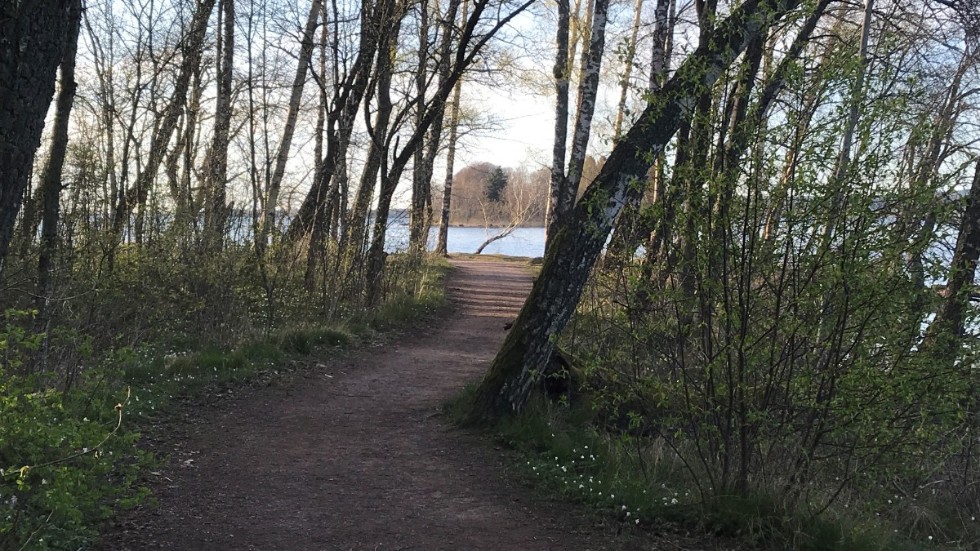 Det är en krokig väg som idrotten har att gå. Men det finns många bra saker som kan göras, som inte kostar något. Kämpar man på framåt ljusnar det alltid bakom någon krök.