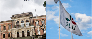 Uppsala har mycket att tacka studenterna för