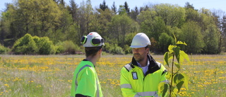 Fler vattenprojekt på gång runtom i Uppland