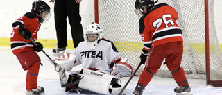 Mindre planer för unga i hockeyn