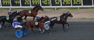 Ulf Ohlsson vann sex lopp på Bodentravet