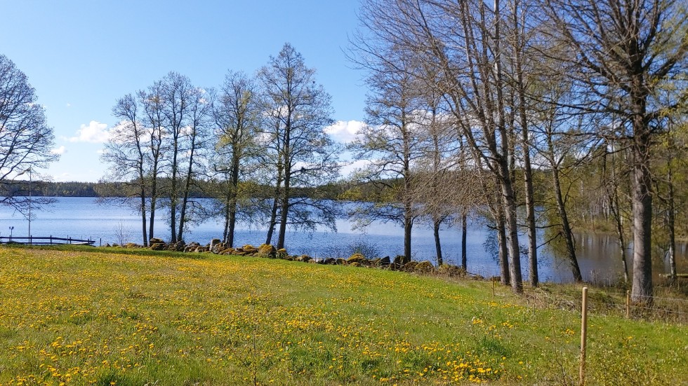 Vissa aktiviteter ställs in, vissa anpassas, och vissa ersätts. Men en lönnebergavecka blir det iallafall. 