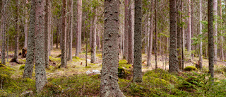 Njut av naturen – men ta ansvar