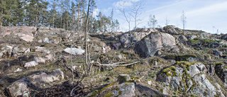 Märklig exploatering av Femöre