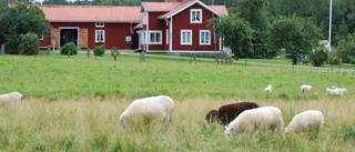 Gräsrotsengagemang och politisk vilja ger framgång