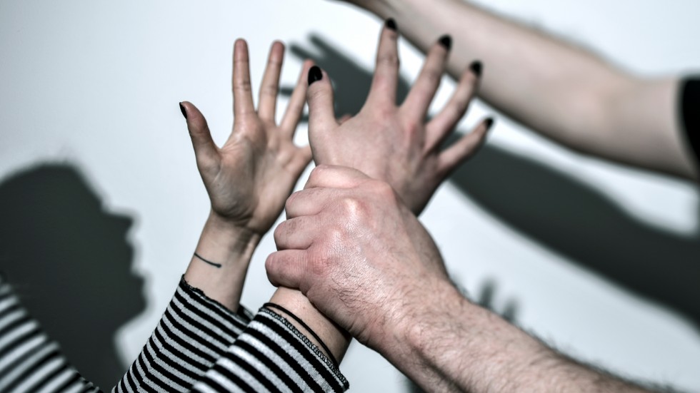 "Vi vet att var fjärde kvinna har utsatts för våld av en närstående och omkring 13 kvinnor mördas varje år av en man i sin närhet" skriver S-politikerna.