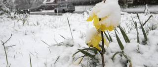 Påskvädret bjuder på blandad kompott