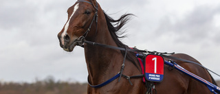 Looking Superb klar för Elitloppet