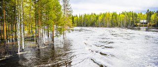 Så väntas vårfloden bli kommande dagar