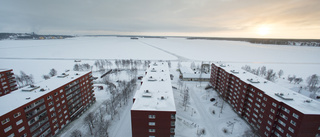 Legionella i Luleås största bostadsrättsförening