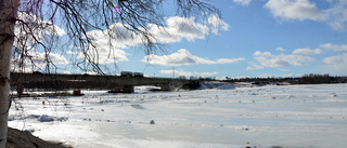 Planen: Isbrytare vid Kalixbron