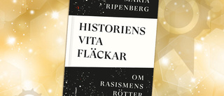 Historiens vita fläckar av Maria Ripenberg