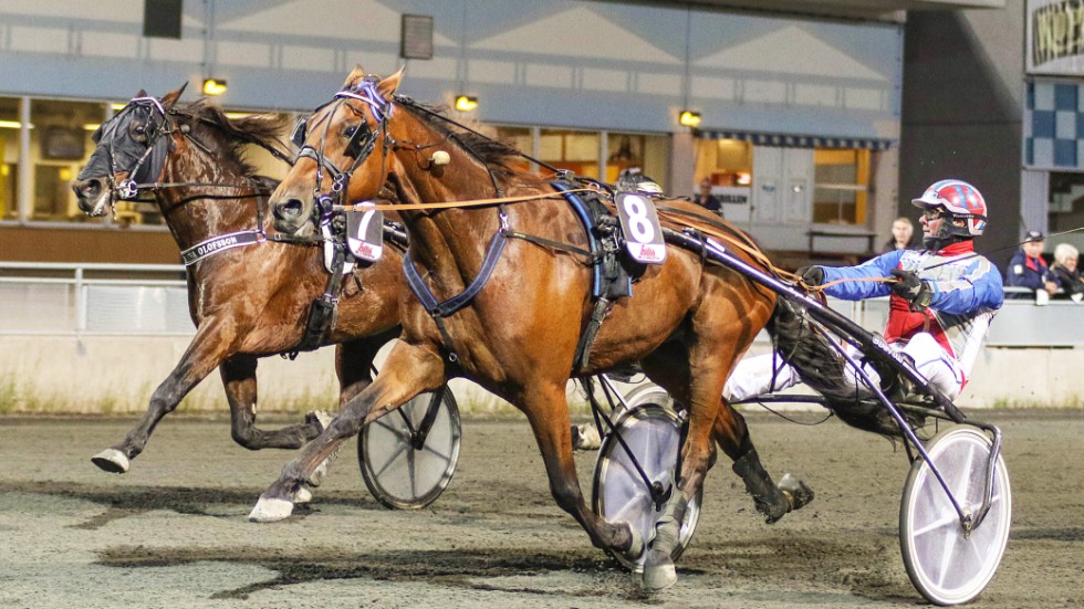 Mellby Dealer är vinstrikast i Piteåtränaren Roger Nilssons segerrika stall. Ekipaget är dock segerlöst under 2019. Det hoppas Nilsson kunna ändra på i Skellefteås årsfinal, V4-1.