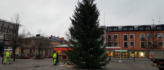 Nu är granen på plats på Stora torget