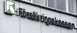 Lurade Försäkringskassan på 120 000 kronor 