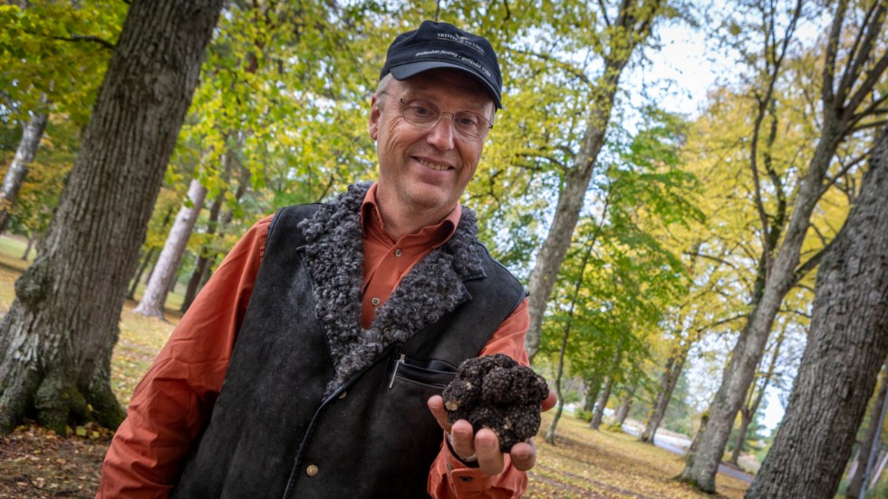 Olof Thomsson med tryffelfyndet, som vägde 207 gram.