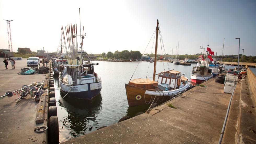 Fiskebåtar i Herrviks hamn i Östergarn.