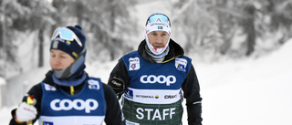 Magnus Ingesson hyllar länets nya stjärnskott